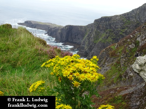 Valentia Island